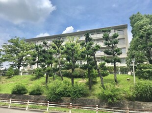 岩成台西団地513号棟(504)の物件外観写真